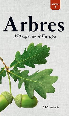ARBRES. 350 ESPÈCIES D'EUROPA | 9788413563206 | SPOHN, MARGOT / SPOHN, ROLAND