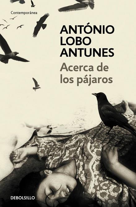 ACERCA DE LOS PAJAROS | 9788483469163 | LOBO ANTUNES,ANTONIO
