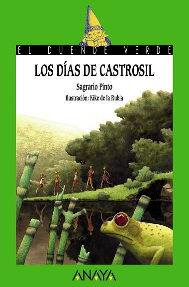DIAS DE CASTROSIL | 9788467840636 | PINTO,SAGRARIO
