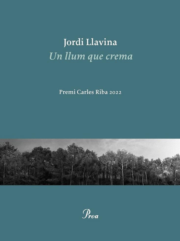 UN LLUM QUE CREMA.PREMI CARLES RIBA 2022 | 9788475889979 | LLAVINA, JORDI