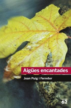 AIGUES ENCANTADES | 9788492672431 | PUIG I FERRETER,JOAN