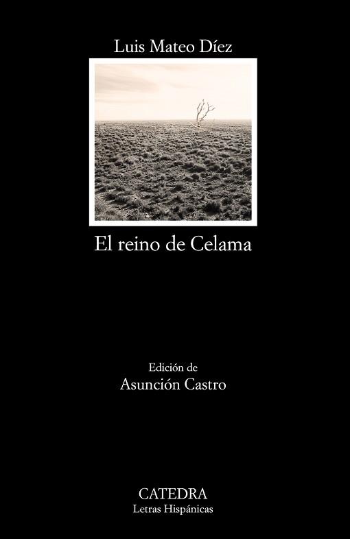 REINO DE CELAMA | 9788437634791 | MATEO DIEZ,LUIS