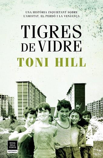 TIGRES DE VIDRE | 9788417444747 | HILL, TONI