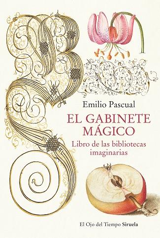 EL GABINETE MÁGICO LIBRO DE LAS BIBLIOTECAS IMAGINARIAS | 9788419553041 | PASCUAL, EMILIO