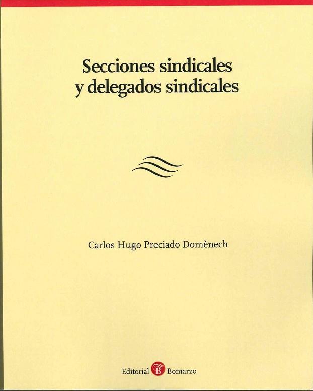SECCIONES SINDICALES Y DELEGADOS SINDICALES | 9788515923892 | PRECIADO DOMENECH,CARLOS HUGO