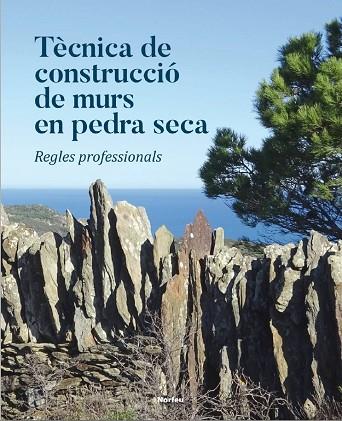 TECNICA DE CONSTRUCCIO DE MURS EN PEDRA SECA. REGLES PROFESIONALS | 9788415885917 | VARIOS AUTORES
