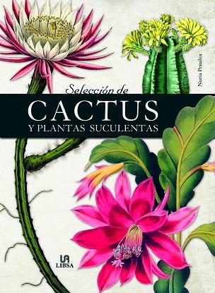 SELECCIÓN DE CACTUS Y PLANTAS SUCULENTAS | 9788466241021 | PENALVA, NURIA/EQUIPO EDITORIAL