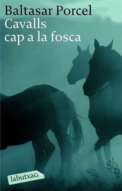 CAVALLS CAP A LA FOSCA | 9788496863040 | PORCEL,BALTASAR