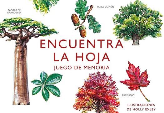 ENCUENTRA LA HOJA. JUEGO DE MEMORIA | 8425402405833 | HOLLY EXLEY