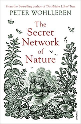 THE SECRET NETWORK OF NATURE : THE DELICATE BALANCE OF ALL LIVING THINGS | 9781784708498 | WOHLLEBEN, PETER