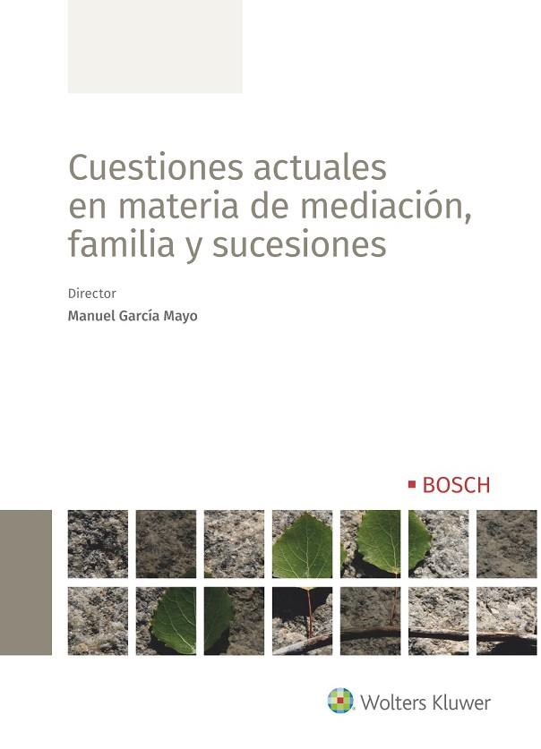 CUESTIONES ACTUALES EN MATERIA DE MEDIACIÓN, FAMILIA Y SUCESIONES | 9788490904381 | GARCIA MAYO,MANUEL