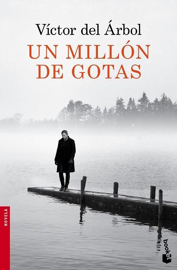 UN MILLON DE GOTAS | 9788423349418 | ARBOL,VICTOR DEL
