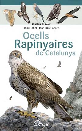 OCELLS RAPINYAIRES DE CATALUNYA | 9788490346785 | LLOBET FRANçOIS, TONI/COPETE, JOSé LUIS