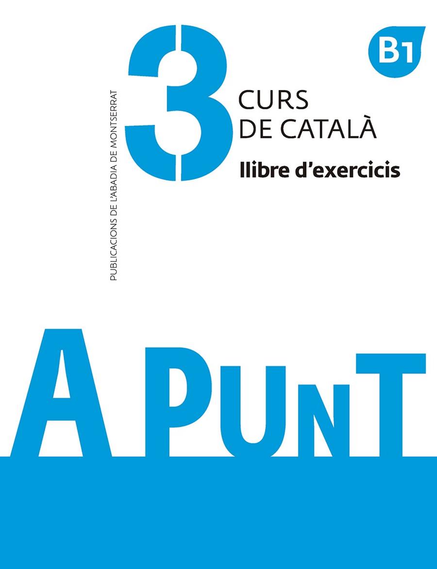 A PUNT 3-B1. CURS DE CATALÀ LLIBRE D'EXERCICIS | 9788491910121 | VILAGRASA GRANDIA, ALBERT