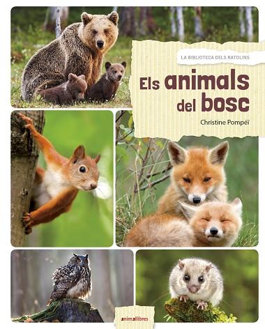 ELS ANIMALS DEL BOSC | 9788417599027 | ROMATIF,ALEXIA