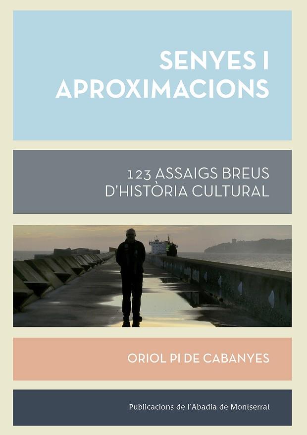 SENYES I APROXIMACIONS,123 ASSAIGS BREUS D,HISTORIA CULTURAL | 9788491910312 | PI DE CABANYES, ORIOL