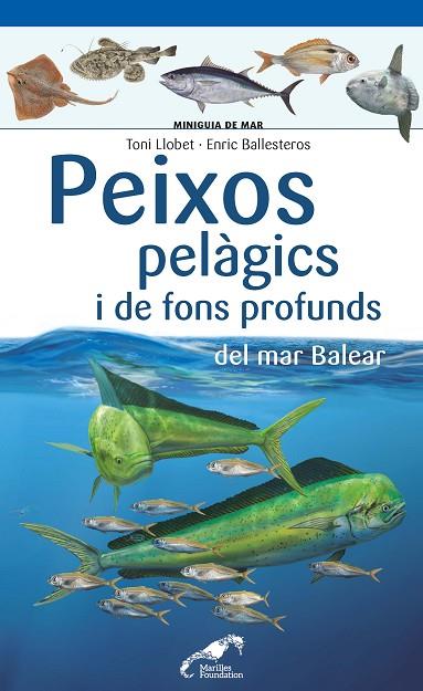 PEIXOS PELÀGICS I DE FONS PROFUNDS DEL MAR BALEAR | 9788490349397 | LLOBET FRANÇOIS, TONI/BALLESTEROS SAGARRA, ENRIC