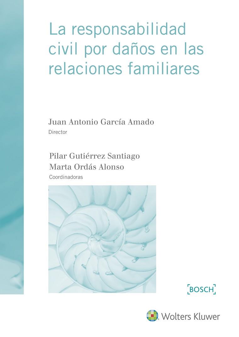 LA RESPONSABILIDAD CIVIL POR DAñOS EN LAS RELACIONES FAMILIARES | 9788490902448 | GARCíA AMADO, JUAN ANTONIO/ORDáS ALONSO, MARTA/GUTIéRREZ SANTIAGO, PILAR