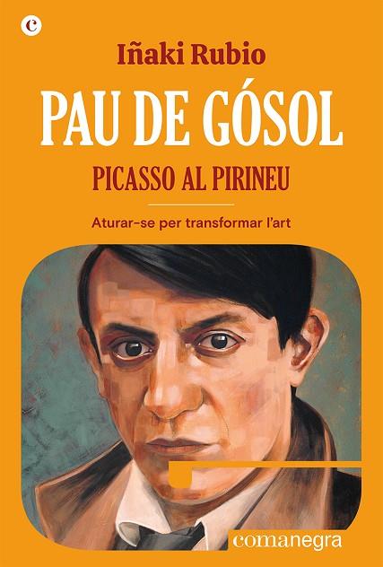 PAU DE GÓSOL. PICASSO AL PIRINEU ATURAR-SE PER TRANSFORMAR L'ART | 9788419590404 | RUBIO, IÑAKI