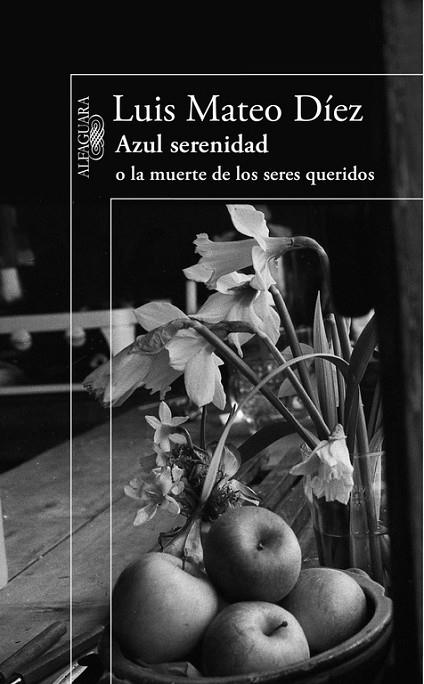 AZUL SERENIDAD O LA MUERTE DE LOS SERES QUERIDOS | 9788420406183 | MATEO DIEZ,LUIS