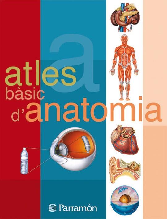 ATLES BASIC D,ANATOMIA | 9788434223134 | CASSAN, ADOLFO/MUÑOZ TENLLADO, ANTONIO