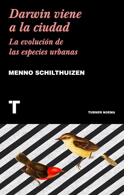DARWIN VIENE A LA CIUDAD. LA EVOLUCION DE LAS ESPECIES URBANAS | 9788417141752 | SCHILTHUIZEN, MENNO