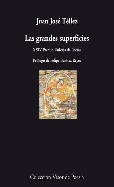 GRANDES SUPERFICIES | 9788498957525 | TELLEZ,JUAN JOSE