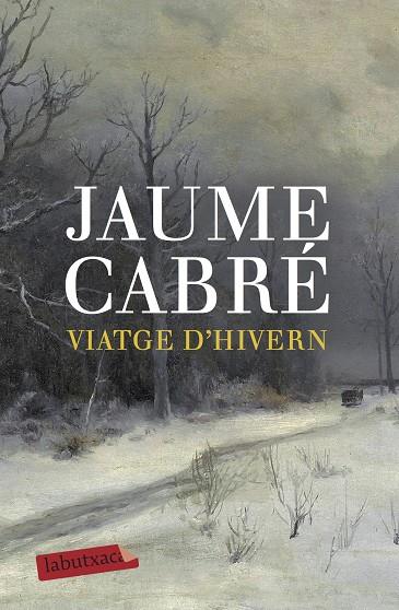 VIATGE D,HIVERN | 9788496863538 | CABRE,JAUME