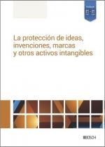 LA PROTECCIÓN DE IDEAS, INVENCIONES, MARCAS Y OTROS ACTIVOS INTANGIBLES | 9788490907207 | REDACCION LA LEY
