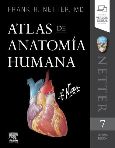 ATLAS DE ANATOMÍA HUMANA (7ª ED.) | 9788491134688 | NETTER, FRANK H.