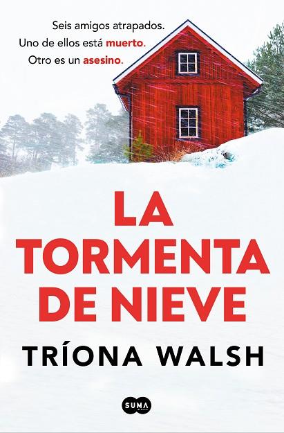 LA TORMENTA DE NIEVE | 9788491299028 | WALSH, TRÍONA