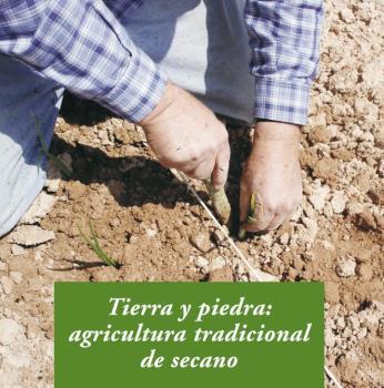 TIERRA Y PIEDRA AGRICULTURA TRADICIONAL DE SECANO | 9788476288955 | GROS SANTASUSANA,ALBA
