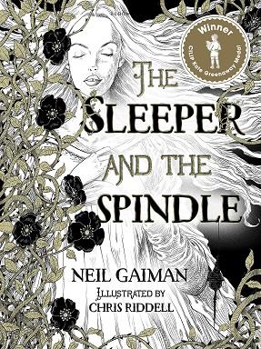 THE SLEEPER AND THE SPINDER | 9781408859650 | GAIMAN NEIL