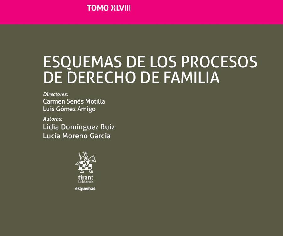 ESQUEMAS DE LOS PROCESOS DE DERECHO DE FAMILIA. TOMO XLVIII | 9788413360263