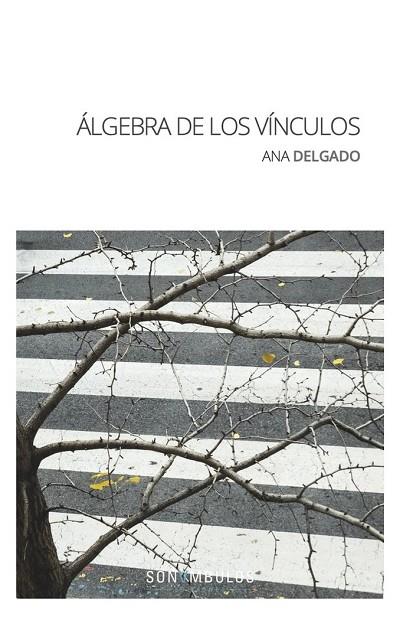 ÁLGEBRA DE LOS VÍNCULOS | 9788412204018 | DELGADO SÁNCHEZ, ANA MARÍA