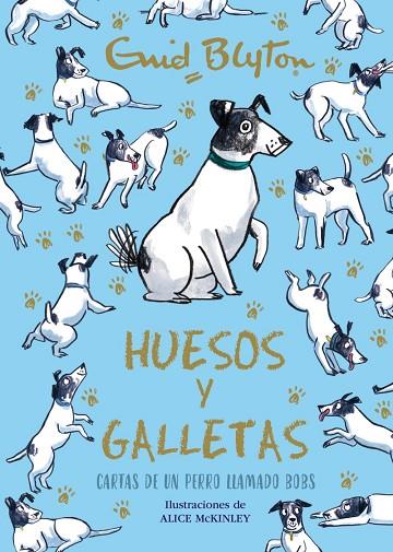 HUESOS Y GALLETAS. CARTAS DE UN PERRO LLAMADO BOBS | 9788469664582 | BLYTON, ENID