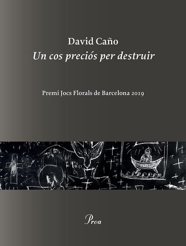 UN COS PRECIÓS PER DESTRUIR (PREMI JOCS FLORALS DE BARCELONA 2019) | 9788475887999 | CAÑO, DAVID