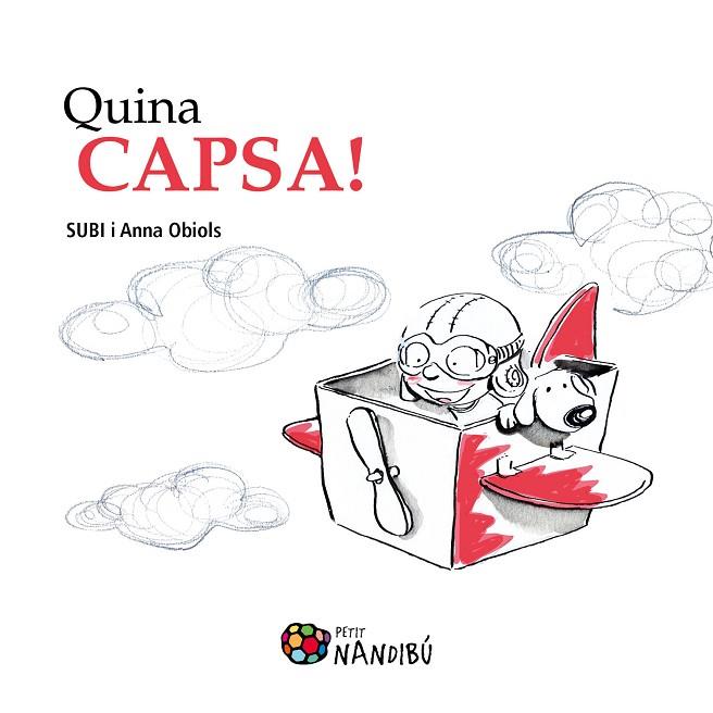 QUINA CAPSA! | 9788499756486 | OBIOLS,ANNA SUBI