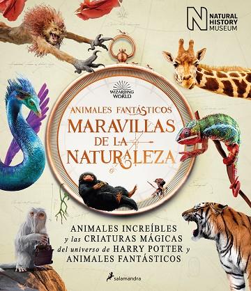 ANIMALES FANTÁSTICOS: MARAVILLAS DE LA NATURALEZA. ANIMALES INCREIBLES Y LAS CRIATURAS MAGICAS DEL UNIVERSO DE HARRY POTTER Y ANIMALES FANTASTICOS | 9788418637056 | THE NATIONAL HISTORY MUSEUM