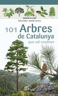 101 ARBRES DE CATALUNYA QUE CAL CONEIXER | 9788490346778 | LLOBET FRANçOIS, TONI/CARRERA BONET, DAVID
