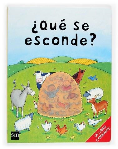 QUE SE ESCONDE? | 9788467501896 | STOCKHAM,JESS