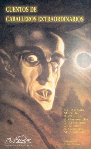 CUENTOS DE CABALLEROS EXTRAORDINARIOS | 9788495642523 | AUB,MAX OCAMPO,SILVINA ONAINDIA,MARIO CHACEL,ROSA ARREOLA,JUAN JOSE MONZO,QUIM GARMENDIA,S