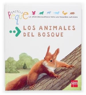 ANIMALES DEL BOSQUE | 9788467509144 | OSTOLAZA,VICTORIA