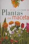 ATLAS ILUSTRADO DE PLANTAS EN MACETA | 9788430557875 | ECHAGUE,JORGE