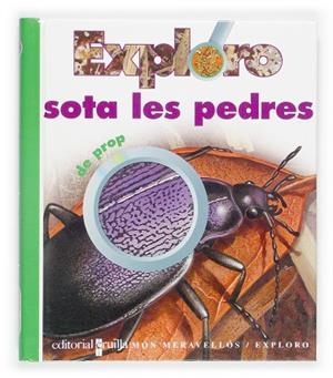 EXPLORO SOTA LES PEDRES DE PROP | 9788466107259 | DELAFOSSE,CLAUDE