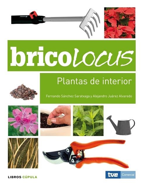 PLANTAS DE INTERIOR,BRICOLOCUS | 9788448047672 | SANCHEZ SARATXAGA,FERNANDO