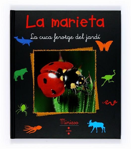 MARIETA. LA CUCA FEROTGE DEL JARDI | 9788466120555 | TRACQUI, VALÉRIE