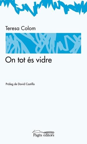 ON TOT ES DE VIDRE | 9788497797689 | COLOM,TERESA