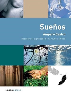 SUEÑOS,DESCUBRE EL SIGNIFICADO DE TU MUNDO ONIRICO | 9788448047245 | CASTRO,AMPARO