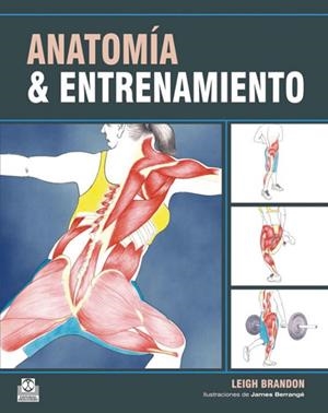 ANATOMIA Y ENTRENAMIENTO | 9788499100548 | BRANDON,LEIGH